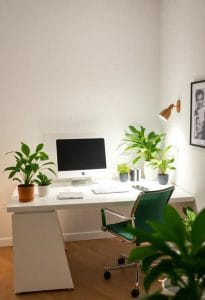 harmonize workspace with feng shui